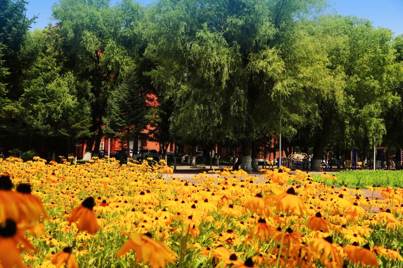 微信图片_202008051757236.jpg